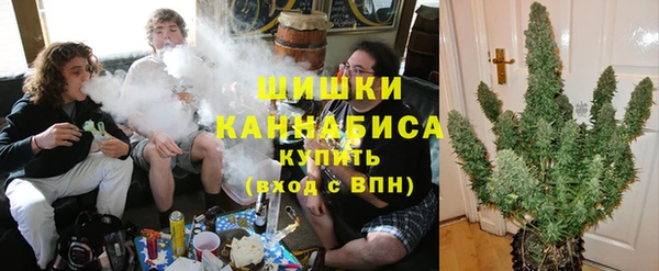 PSILOCYBIN Карпинск