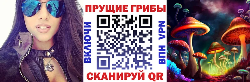 Псилоцибиновые грибы мухоморы  Купить  Богородицк 